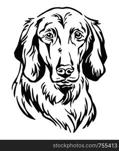 Decorative outline portrait of Dog Longhaired Weimaraner, vector illustration in black color isolated on white background. Image for design and tattoo.