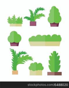 Decorative plants vector illustration in flat design. Food growing on vegetable bed or pot. Gardening, interior element, concept. Greens in grocery store. Isolated on white background.. Decorative Plants Illustrations in Flat Design.. Decorative Plants Illustrations in Flat Design.