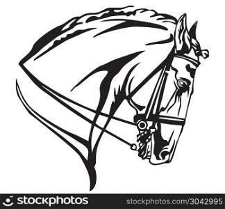 Decorative portrait in profile of Andalusian horse with bridle, vector isolated illustration in black color on white background. Image for design and tattoo.