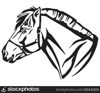 Decorative portrait in profile of Norwegian fjord pony, vector isolated illustration in black color on white background. Image for design and tattoo.