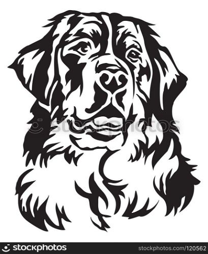 Decorative portrait of Bernese Mountain Dog, vector isolated illustration in black color on white background