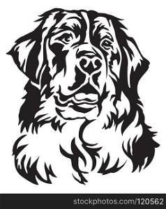 Decorative portrait of Bernese Mountain Dog, vector isolated illustration in black color on white background