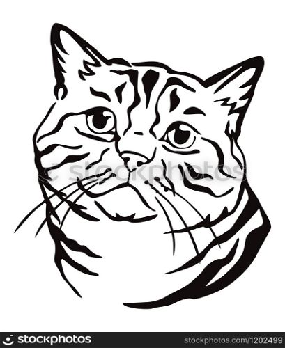 Decorative portrait of British Cat, contour vector illustration in black color isolated on white background. Image for design, cards and tattoo.