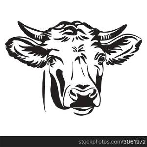 Decorative portrait of bull vector illustration in black color isolated on white background. Engraving template image for design, print and tattoo.. Abstract contour portrait of the bull vector