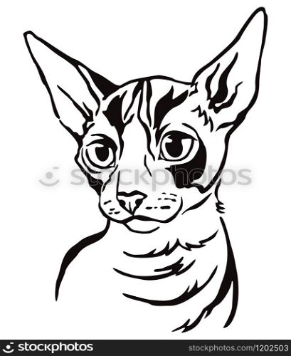 Decorative portrait of Cornish Rex cat, contour vector illustration in black color isolated on white background. Image for design and tattoo.