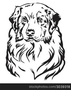 Decorative portrait of dog Australian shepherd, vector isolated illustration in black color on white background. Decorative portrait of Australian shepherd vector illustration
