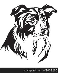 Decorative portrait of dog Border Collie, vector isolated illustration in black color on white background. Decorative portrait of Border Collie vector illustration