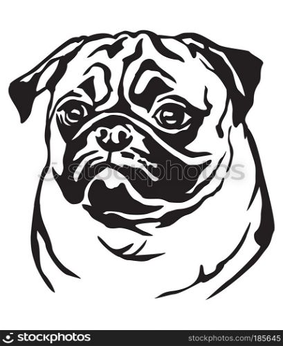 Decorative portrait of dog Pug, vector isolated illustration in black color on white background