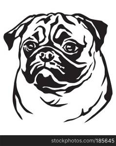 Decorative portrait of dog Pug, vector isolated illustration in black color on white background