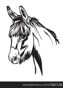 Decorative portrait of donkey vector illustration in black color isolated on white background. Engraving template image for design, print and tattoo.. Abstract portrait of line black contour donkey