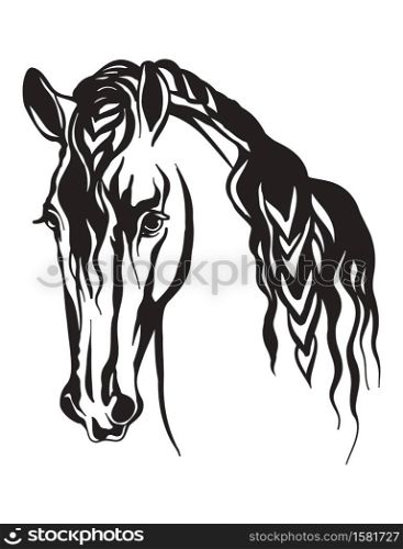 Decorative portrait of horse vector illustration in black color isolated on white. Engraving template image for design, decoration, print and tattoo.. Abstract contour portrait of line black horse
