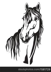 Decorative portrait of horse vector illustration in black color isolated on white background. Engraving template image for design, home decor, porcelain, print and tattoo.. Beautiful portrait of line black contour horse