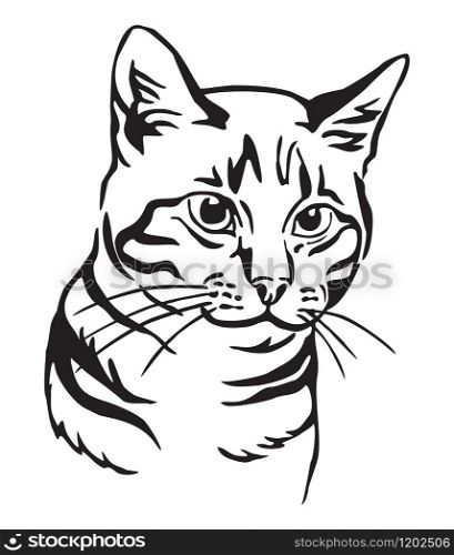 Decorative portrait of mongrel Cat, contour vector illustration in black color isolated on white background. Image for design, cards and tattoo.