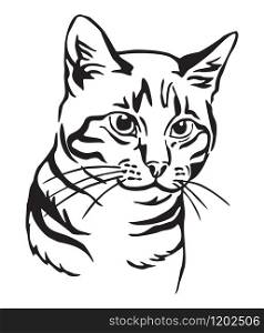 Decorative portrait of mongrel Cat, contour vector illustration in black color isolated on white background. Image for design, cards and tattoo.