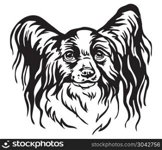 Decorative portrait of Papillon Dog, vector isolated illustration in black color on white background. Image for design and tattoo. . Decorative portrait of Papillon Dog vector illustration