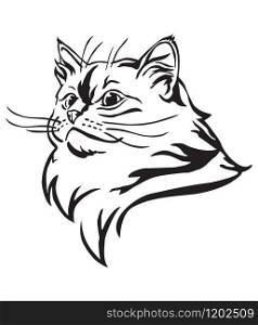 Decorative portrait of Ragdoll cat, contour vector illustration in black color isolated on white background. Image for design and tattoo.