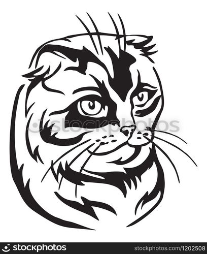 Decorative portrait of scottish fold cat, contour vector illustration in black color isolated on white background. Image for design and tattoo.