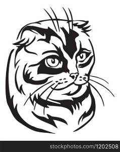 Decorative portrait of scottish fold cat, contour vector illustration in black color isolated on white background. Image for design and tattoo.