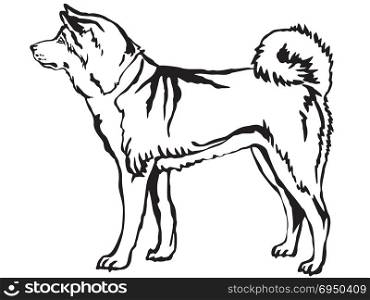 Decorative portrait of standing in profile Akita Inu, vector isolated illustration in black color on white background
