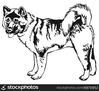 Decorative portrait of standing in profile American akita, vector isolated illustration in black color on white background