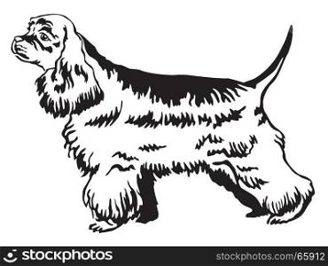 Decorative portrait of standing in profile American Cocker Spaniel, vector isolated illustration in black color on white background