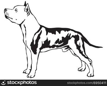 Decorative portrait of standing in profile American Staffordshire Terrier, vector isolated illustration in black color on white background