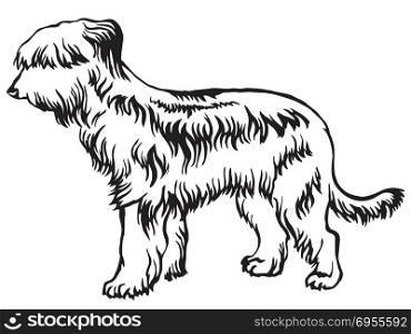 Decorative portrait of standing in profile Briard, vector isolated illustration in black color on white background