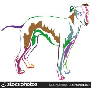 Decorative portrait of standing in profile dog Whippet (Sight hound), vector isolated illustration in rainbow colors on white background
