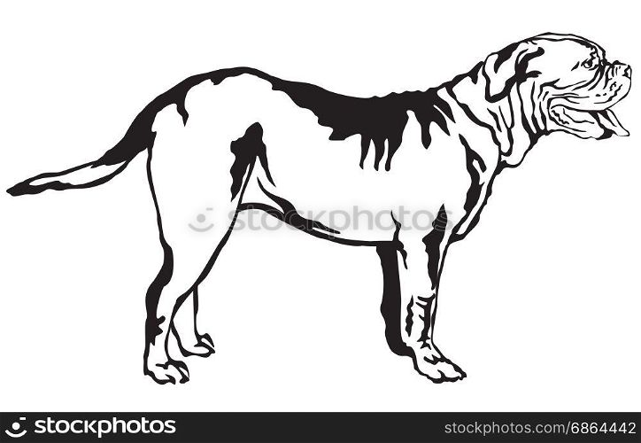 Decorative portrait of standing in profile Dogue de Bordeaux, vector isolated illustration in black color on white background