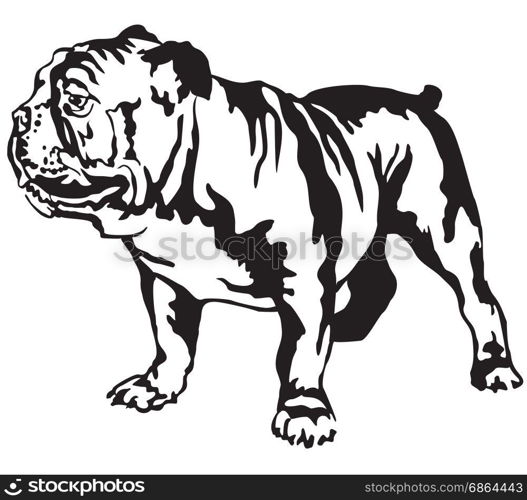Decorative portrait of standing in profile English bulldog, vector isolated illustration in black color on white background