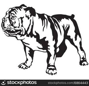 Decorative portrait of standing in profile English bulldog, vector isolated illustration in black color on white background