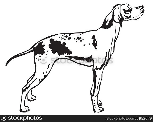 Decorative portrait of standing in profile English Pointer, vector isolated illustration in black color on white background