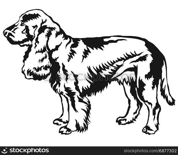 Decorative portrait of standing in profile Field Spaniel, vector isolated illustration in black color on white background