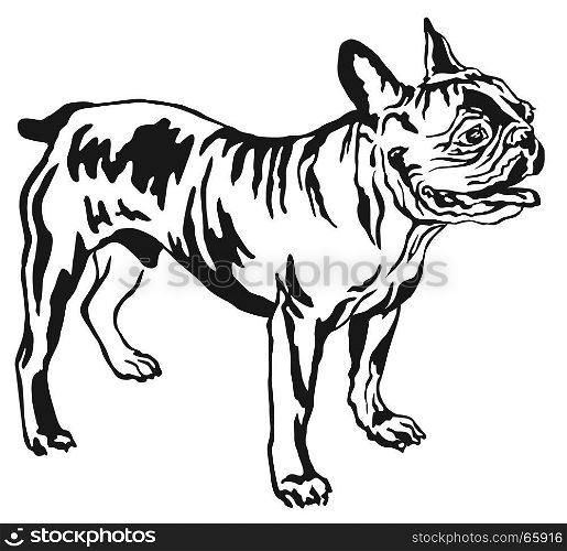 Decorative portrait of standing in profile French Bulldog, vector isolated illustration in black color on white background