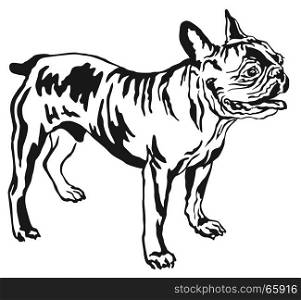 Decorative portrait of standing in profile French Bulldog, vector isolated illustration in black color on white background