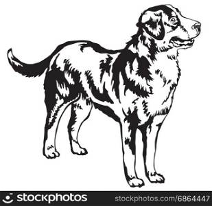 Decorative portrait of standing in profile Greater Swiss Mountain Dog, vector isolated illustration in black color on white background