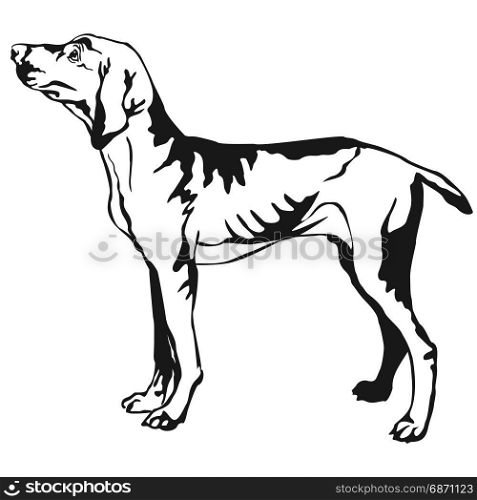 Decorative portrait of standing in profile Hungarian pointer, vector isolated illustration in black color on white background