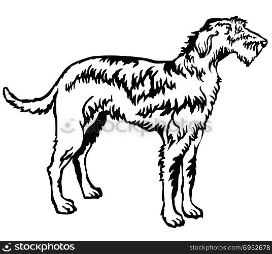 Decorative portrait of standing in profile Irish Wolfhound, vector isolated illustration in black color on white background