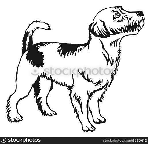 Decorative portrait of standing in profile Jack Russell Terrier, vector isolated illustration in black color on white background