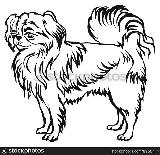 Decorative portrait of standing in profile Japanese Chin, vector isolated illustration in black color on white background
