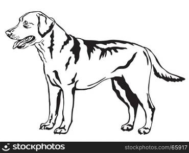 Decorative portrait of standing in profile Labrador Retriever, vector isolated illustration in black color on white background