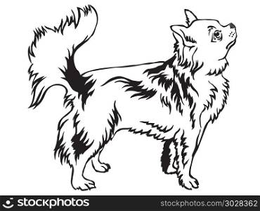 Decorative portrait of standing in profile Longhaired Chihuahua, vector isolated illustration in black color on white background. Decorative standing portrait of Longhaired Chihuahua vector illu