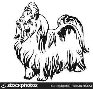 Decorative portrait of standing in profile Maltese dog, vector isolated illustration in black color on white background. Decorative standing portrait of Maltese dog vector illustration