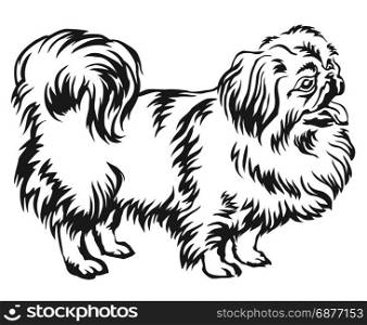 Decorative portrait of standing in profile Pekingese, vector isolated illustration in black color on white background
