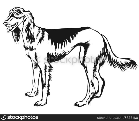 Decorative portrait of standing in profile Persian Greyhound (Saluki), vector isolated illustration in black color on white background