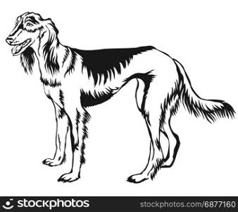Decorative portrait of standing in profile Persian Greyhound (Saluki), vector isolated illustration in black color on white background