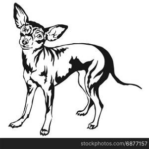 Decorative portrait of standing in profile Prague Ratter, vector isolated illustration in black color on white background