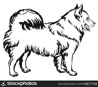 Decorative portrait of standing in profile Samoyed, vector isolated illustration in black color on white background