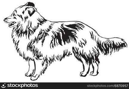 Decorative portrait of standing in profile Sheltie(Shetland Sheepdog), vector isolated illustration in black color on white background