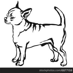 Decorative portrait of standing in profile short haired Chihuahua, vector isolated illustration in black color on white background
